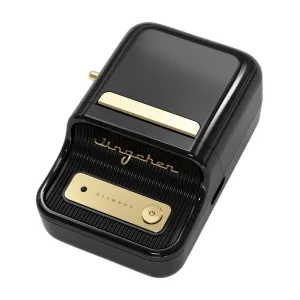 NIIMBOT B21S, Taşınabilir, Mürekkepsiz, Termal Etiket Yazıcı (Bluetooth, Type-C) Siyah