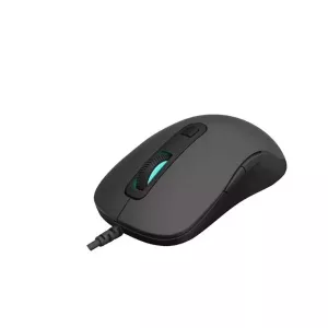 RAPOO V16RGB Kablolu USB RGB 12800dpi Siyah Mouse (11928)