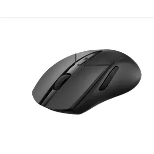 RAPOO V300SE Kablolu/Kablosuz 1200dpi Siyah Mouse (12401)